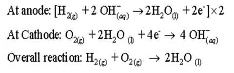 Fundamentals of commercial batteries 6 Fuel cell
