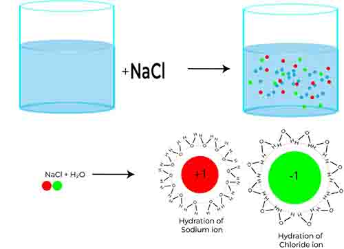 Abnormal Molecular Mass 3 Abnormal Molecular Mass