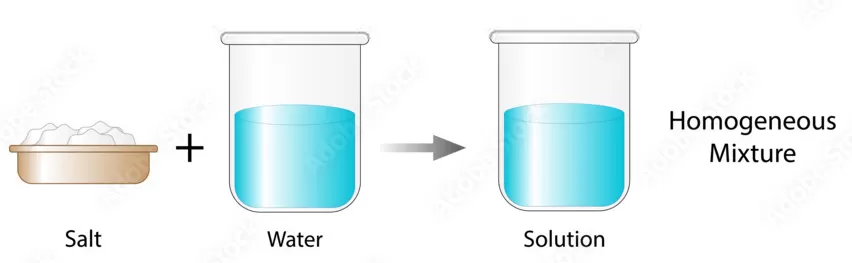 homogeneous solution